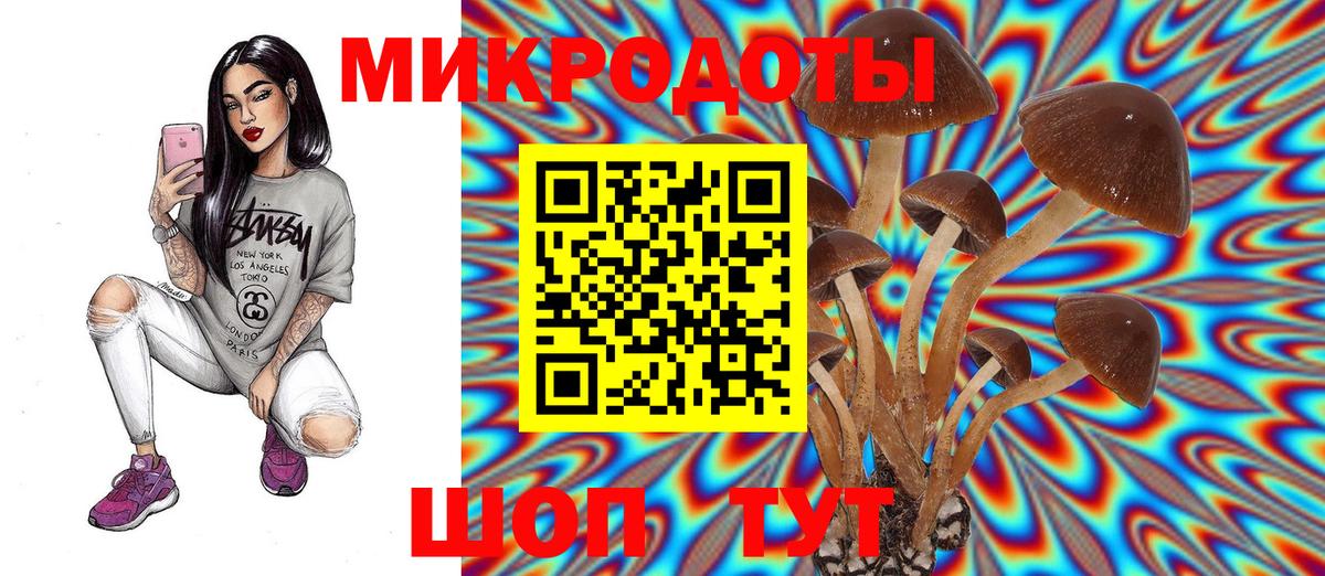 Галлюциногенные грибы Cubensis  Вход с VPN  Зеленокумск 